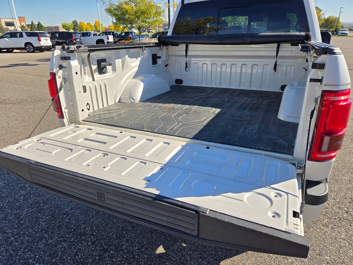 2015 Ford F-150 Platinum