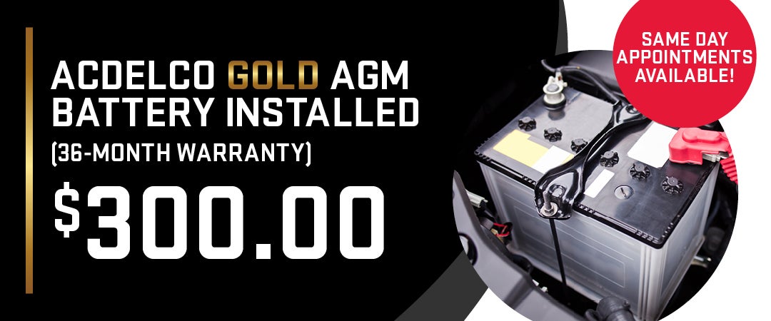 ACDelco Gold AGM Battery Installed